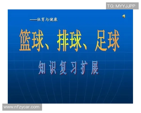 深圳排球队创新运营模式助力体育发展新篇章